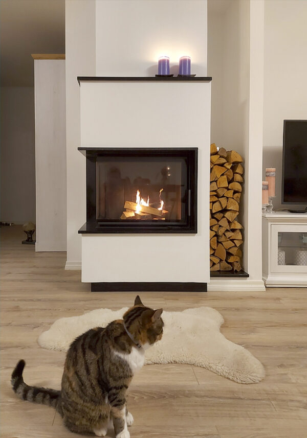 Romotop - Focar lemne pe colt HEAT HR2SG 65x40x51 - imagine 2
